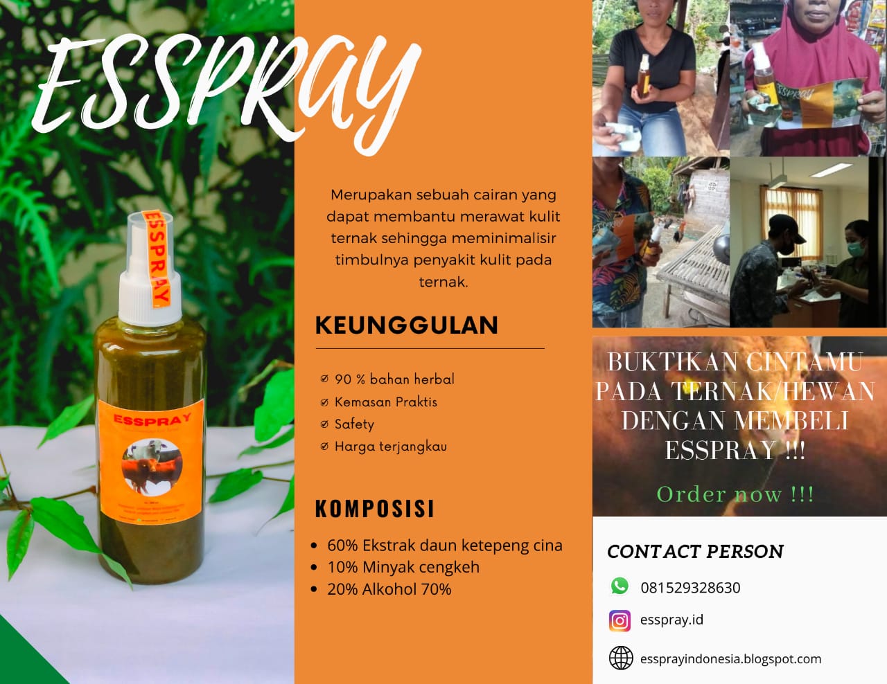 Mahasiswa Prodi Sarjana Peternakan Fapet Unud Ciptakan “ESSPRAY” Obat Herbal Kudis Ternak